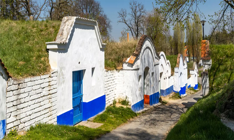 Plže Wine Cellars