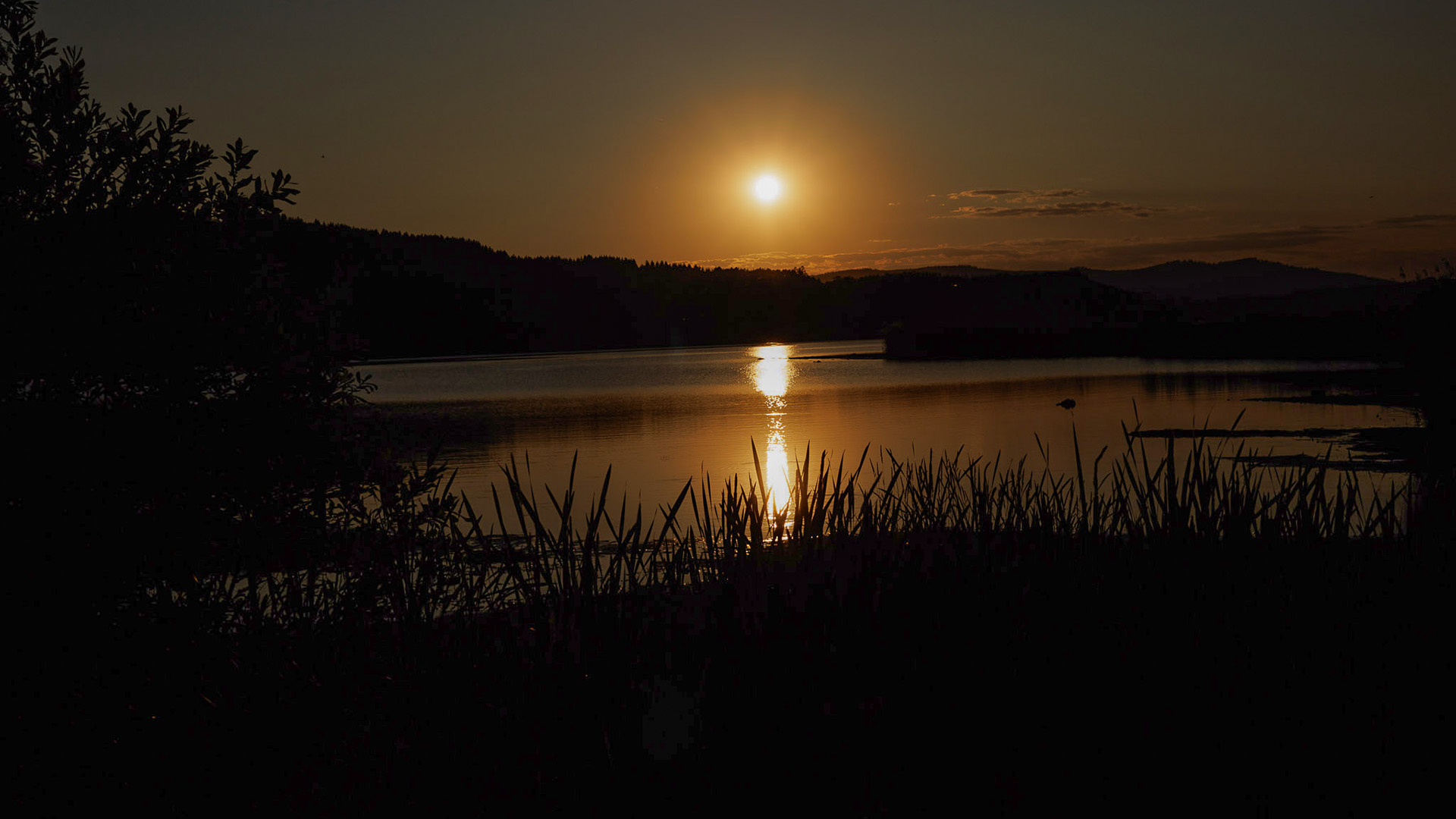 Lipno